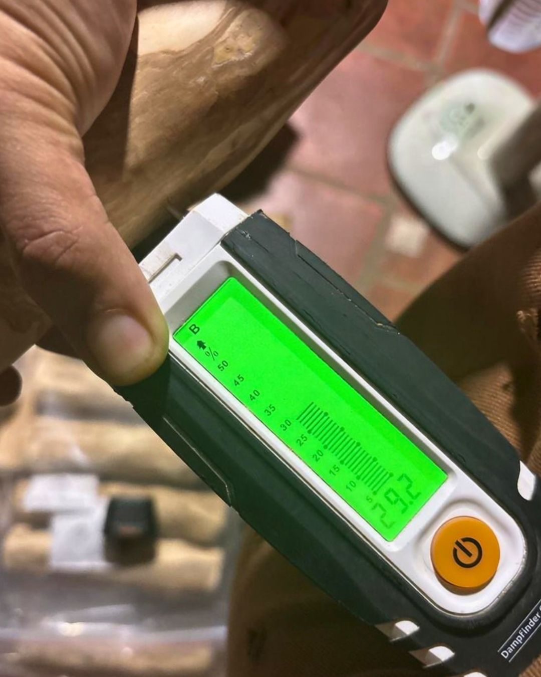 Worker checking moisture level of coffee wood with a moisture meter