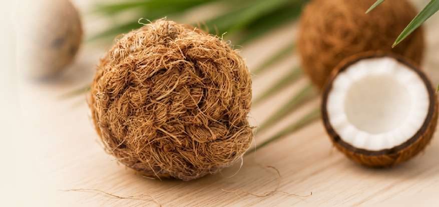 Coconut Fiber Pet Products, Made for a Plastic-Free Shelf
