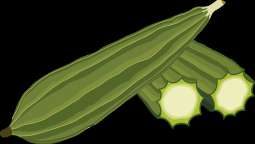 Loofah Pet Toys &mdash; Biodegradable & Playful