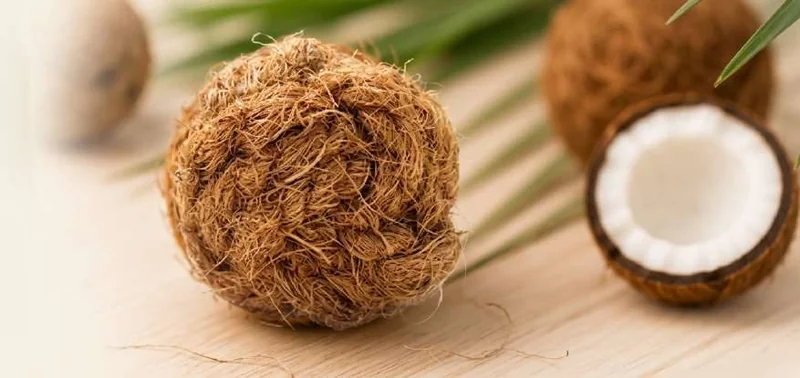 Coconut Fiber Pet Toys for Wholesale & Private Label