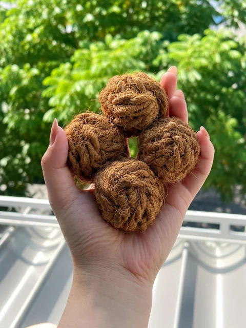 Coconut-fiber balls held outdoors against green foliage