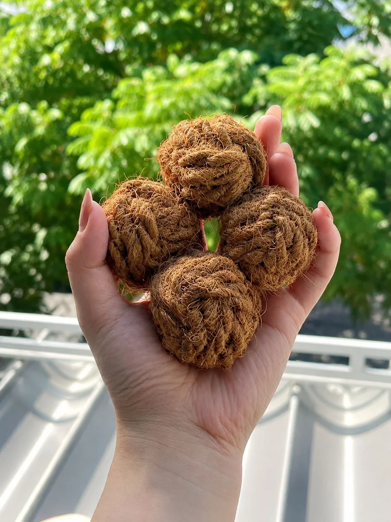 Coconut-fiber balls held outdoors against green foliage