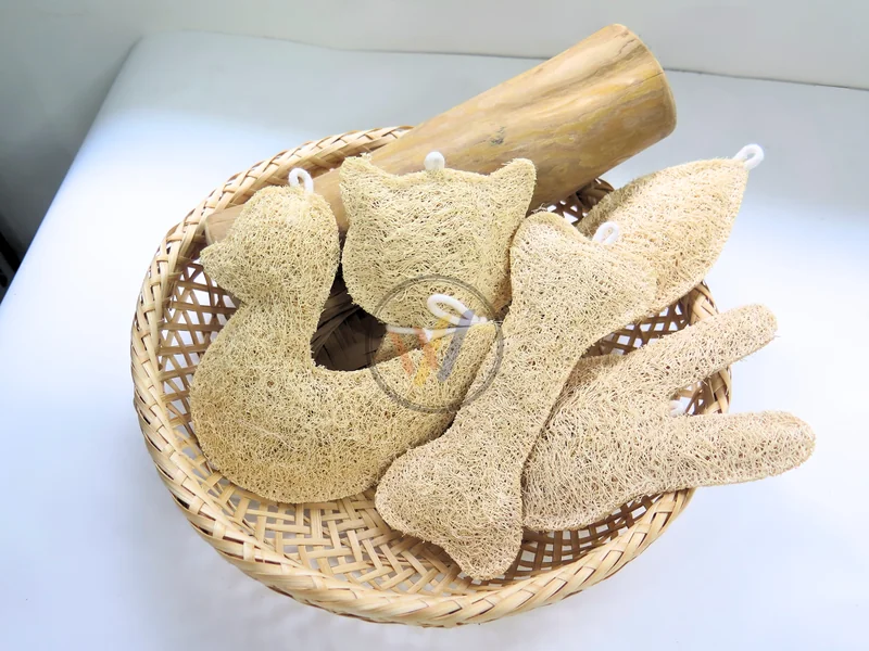 WINVN loofah play shapes and coffee wood stick displayed in a basket